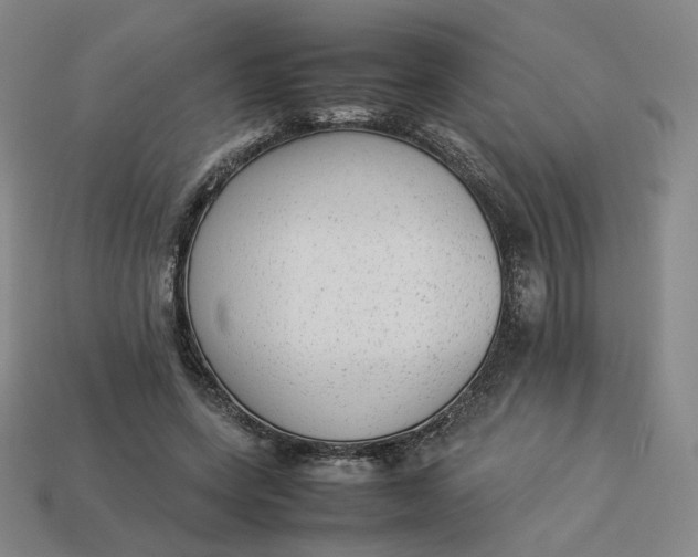 X0000113260543200910011409