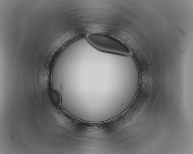 X0000113260544200910011409