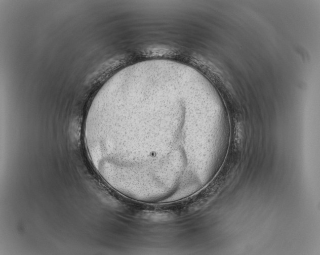 X0000113260545200910011409