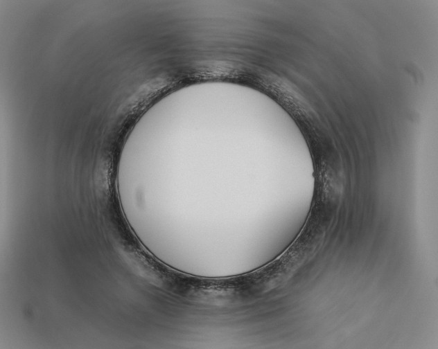 X0000113260546200910011409