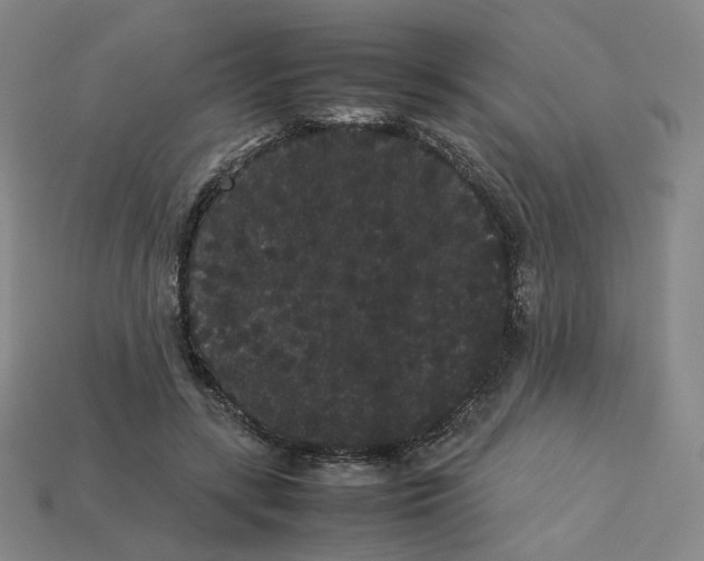 X0000113260547200910011409