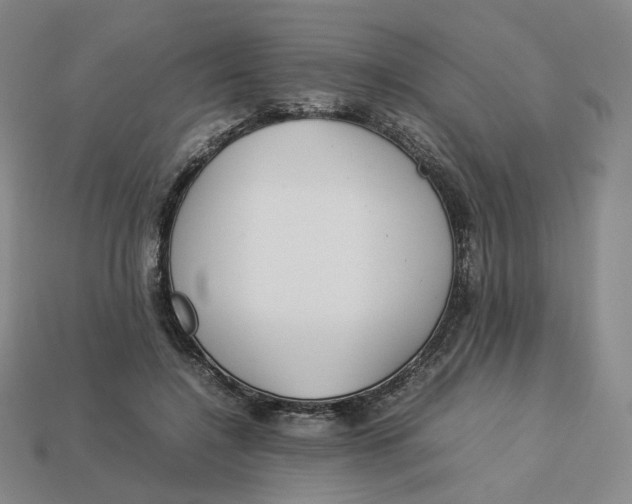 X0000113260548200910011409