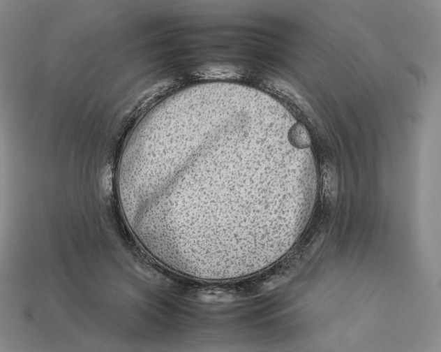 X0000113260549200910011409