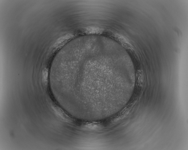 X0000113260550200910011410