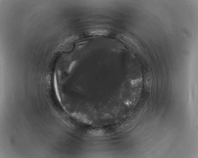 X0000113260551200910011410