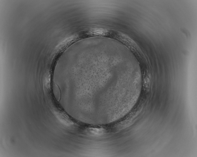 X0000113260552200910011410