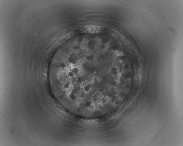 X0000113260553200910011410