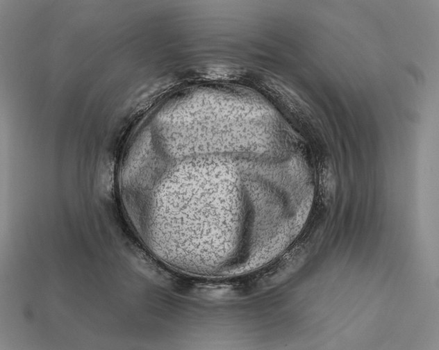 X0000113260554200910011410