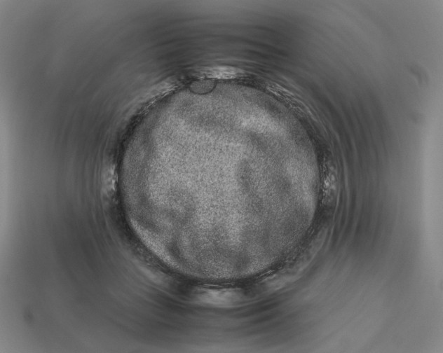 X0000113260555200910011410