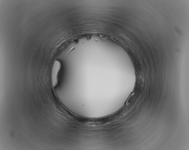 X0000113260556200910011410