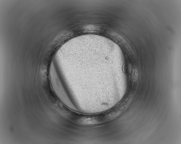 X0000113260557200910011410