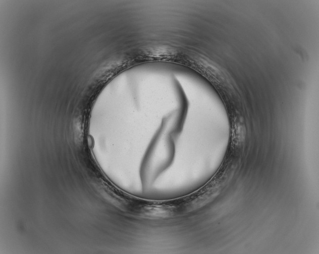 X0000113260558200910011410