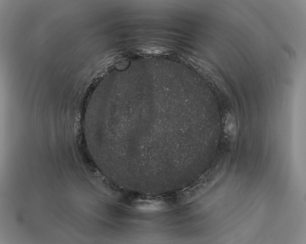 X0000113260559200910011410