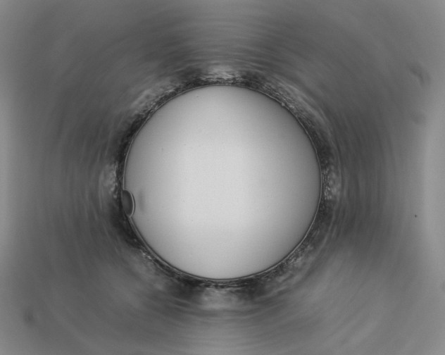 X0000113260560200910011410