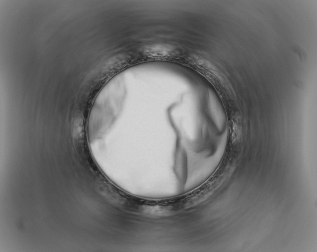 X0000113260561200910011410