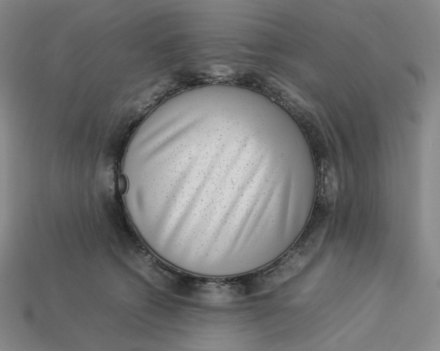 X0000113260562200910011410