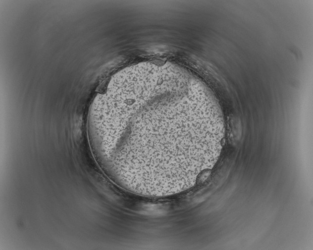 X0000113260563200910011410