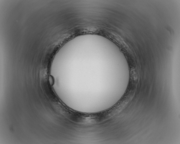 X0000113260564200910011410