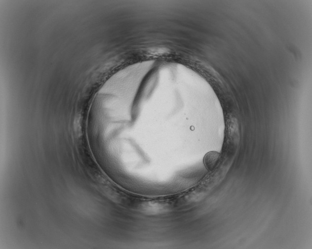 X0000113260565200910011410