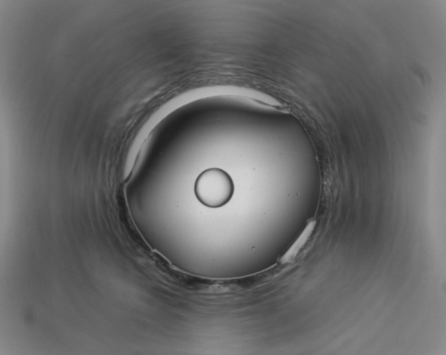 X0000113260566200910011410