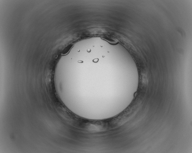 X0000113260567200910011410