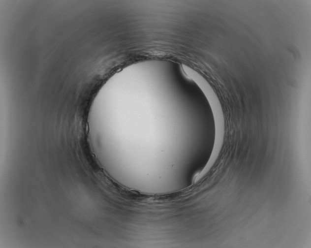X0000113260568200910011410