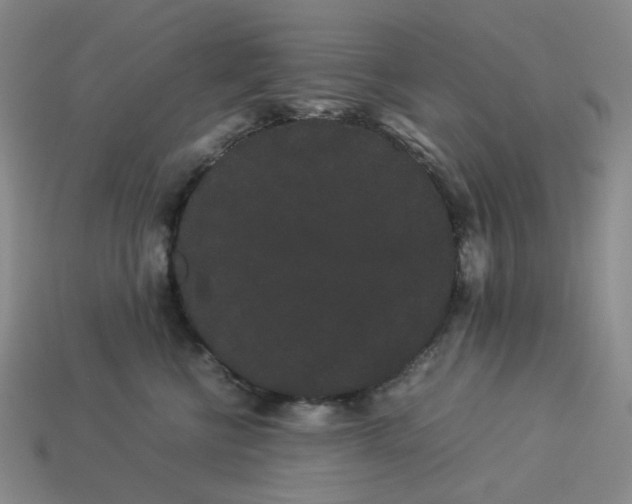 X0000113260570200910011410