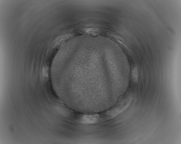 X0000113260571200910011410