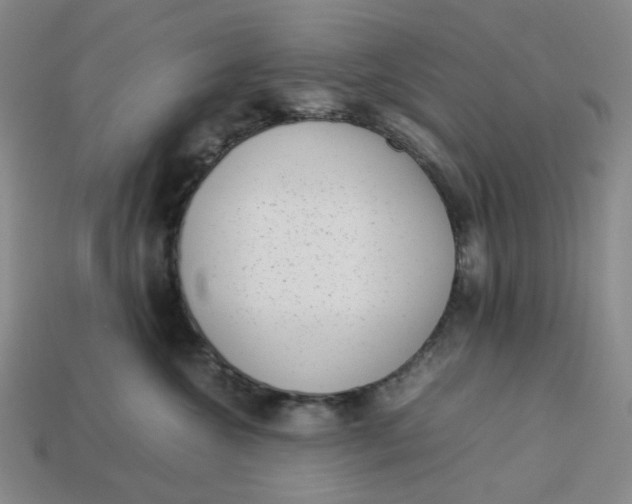 X0000113260572200910011410