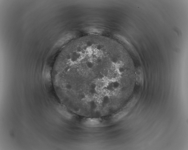 X0000113260573200910011410