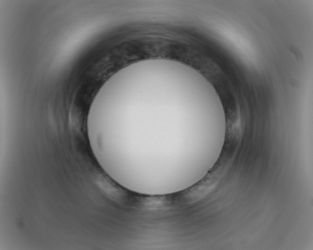 X0000113260574200910011410