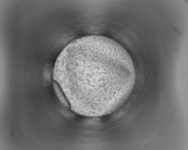 X0000113260576200910011410