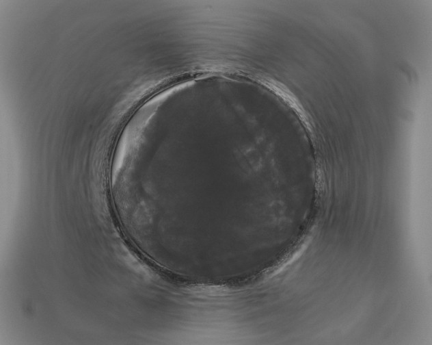 X0000113260577200910011409
