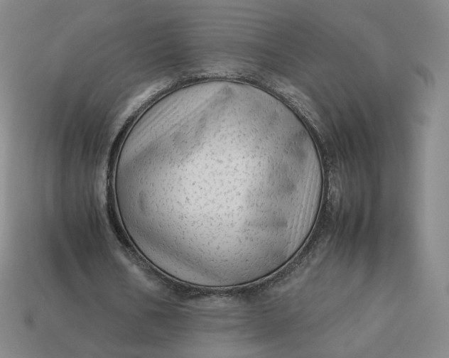 X0000113260578200910011409