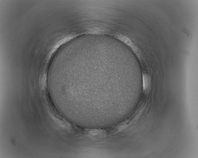 X0000113260579200910011409