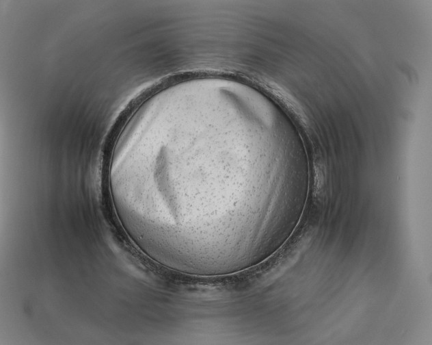 X0000113260580200910011409