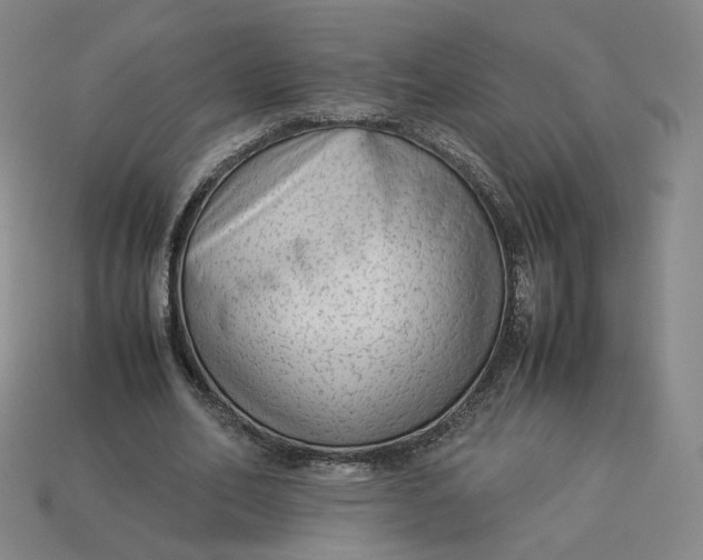 X0000113260582200910011409