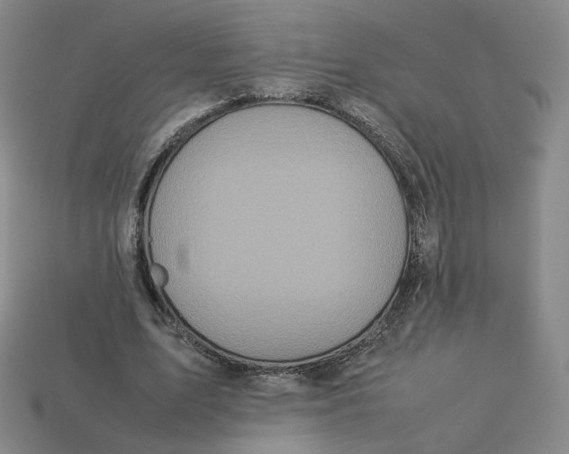 X0000113260583200910011409