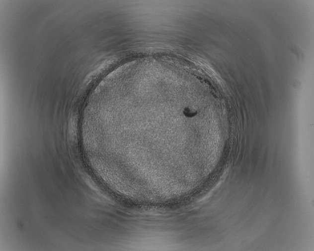 X0000113260585200910011409