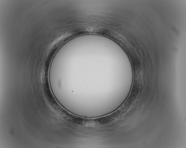 X0000113260587200910011409