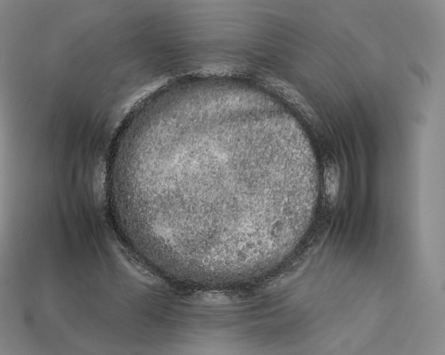 X0000113260588200910011409