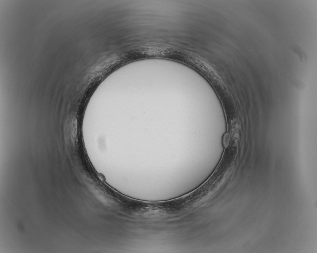 X0000113260589200910011409