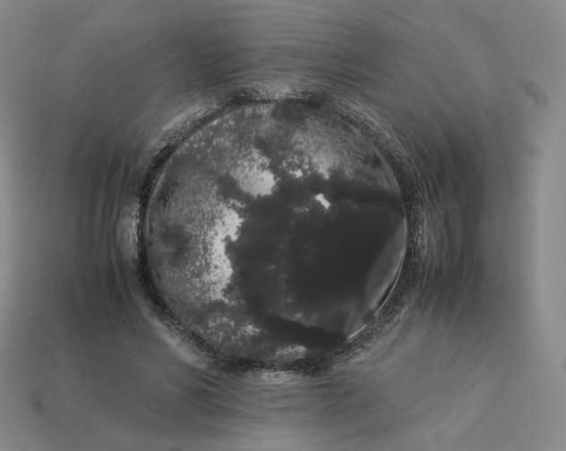 X0000113260590200910011409