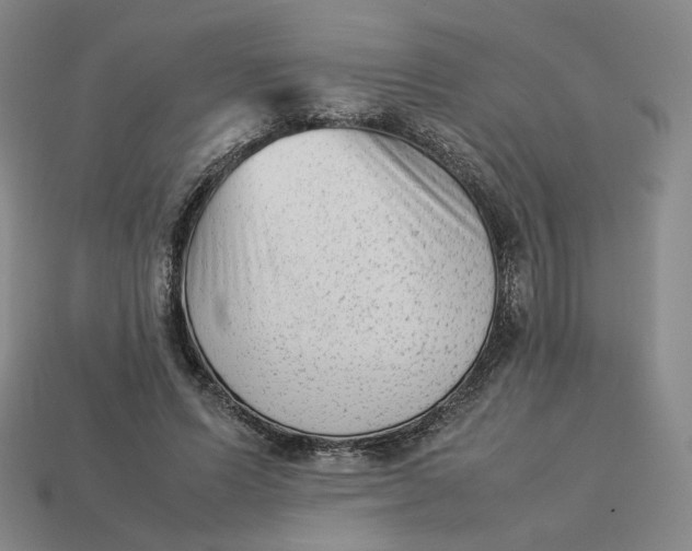 X0000113260591200910011409