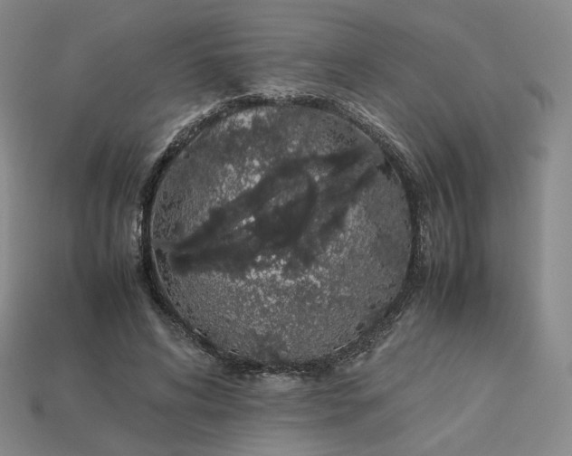 X0000113260592200910011409