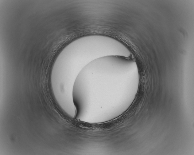 X0000113260593200910011409