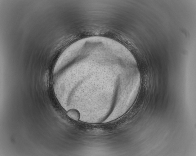 X0000113260594200910011409