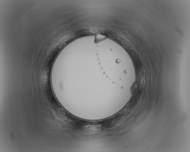 X0000113260595200910011409