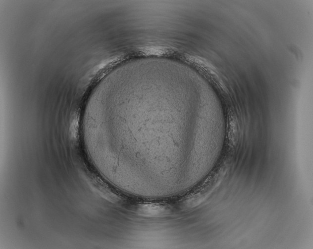 X0000113260596200910011409