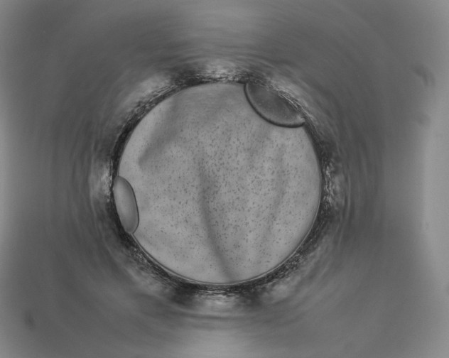 X0000113260597200910011409